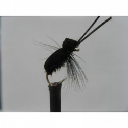 Dries Pure black foam beetle $2.34
