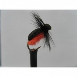 Dries Pure firebelly foam beetle $2.34