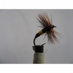 Dries Pure caperer dry $2.34