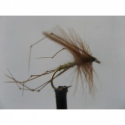 Dries Pure standard daddy $2.34