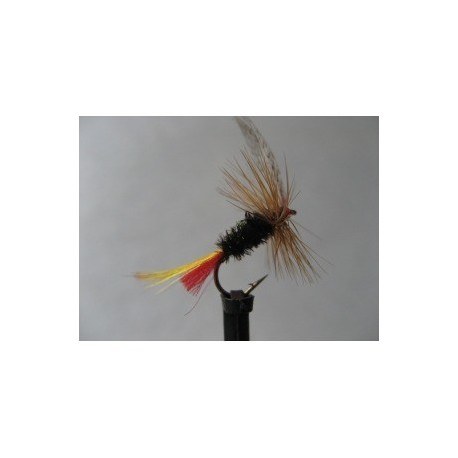 Dries Pure sweet william dry $2.34