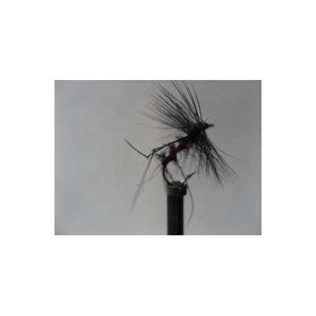 Dries Pure ians penny black hopper $2.34