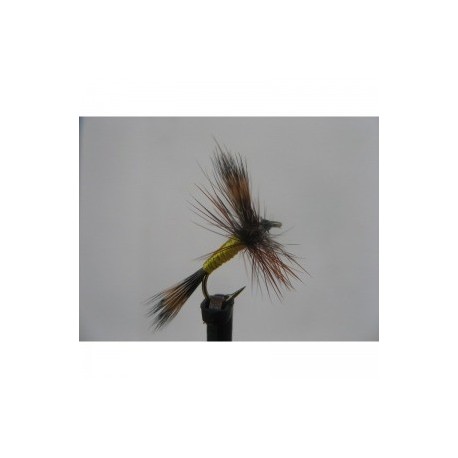 Dries Pure wulff grizzly dry ize $2.34