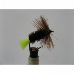 Dries Pure treakle parkin dry $2.34