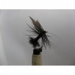 Dries Pure black ant hi float dry $2.34