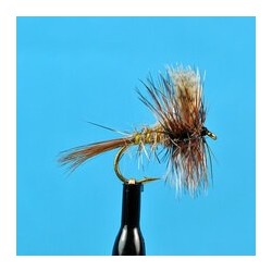 Dries Pure American March Brown $2.34