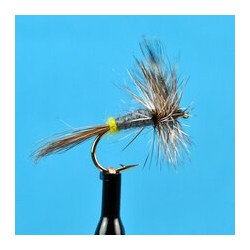 Dries Pure Adams Female $2.34