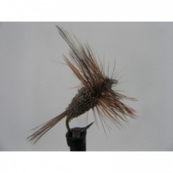 Dries Pure adams irresistible dry $2.34