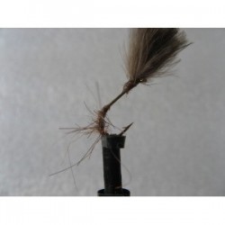 Dries Pure ians cdc copper brite sparkle $2.34