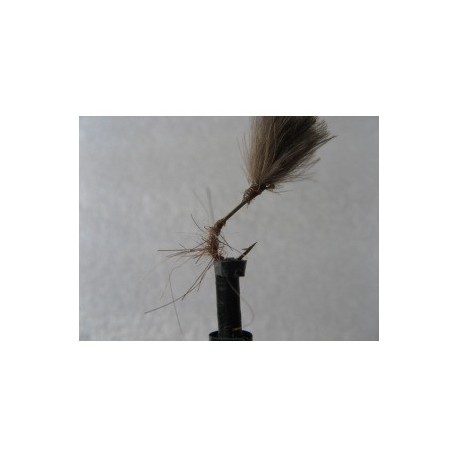 Dries Pure ians cdc copper brite sparkle $2.34