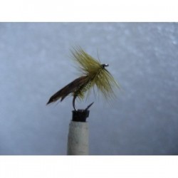 Dries Pure tape wing caddis olive sedge $2.34