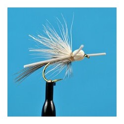 Dries Pure X Hex $2.34