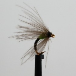 Dries Pure annorexic green spider $2.34