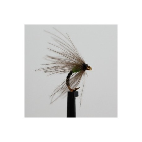 Dries Pure annorexic green spider $2.34