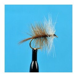 Dries Pure Brown Bivisible $2.34