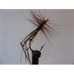 Dries Pure fiery brown holo gold hopper $2.34