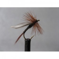 Dries Pure twilight beauty dry $2.34