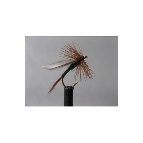 Dries Pure twilight beauty dry $2.34