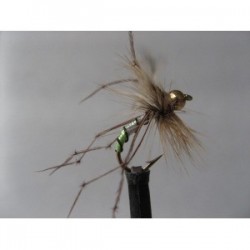 Dries Pure gold head pearly daddy $2.34