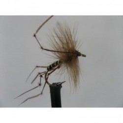 Dries Pure black daddy $2.34