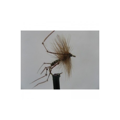 Dries Pure black daddy $2.34