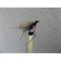 Dries Pure bibio adult cdc buzzer $2.34