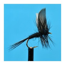 Dries Pure Black Gnat $2.34