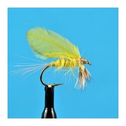 Dries Pure Burnt Wing Yellow Drake $2.34