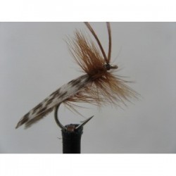 Dries Pure light brown horned sedge $2.34