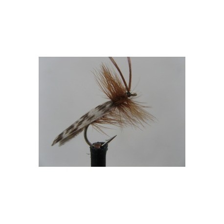 Dries Pure light brown horned sedge $2.34