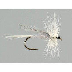 Dries Pure caenis $2.34