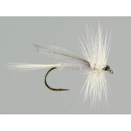 Dries Pure caenis $2.34