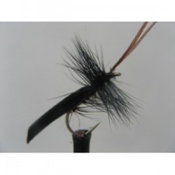 Dries Pure black horned sedge $2.34