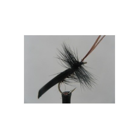 Dries Pure black horned sedge $2.34