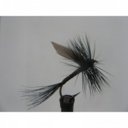 Dries Pure black quill dry $2.34