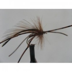 Dries Pure x factor daddy $2.34