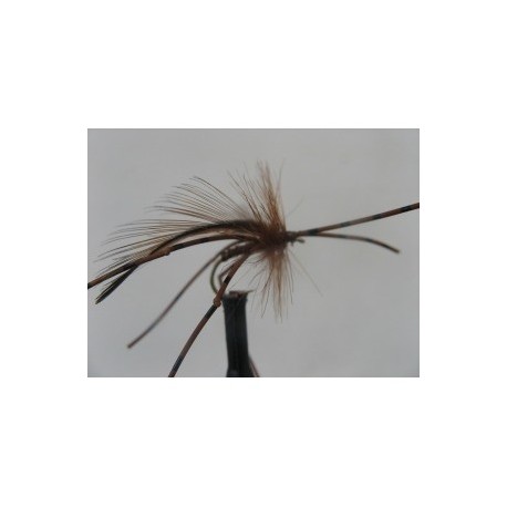 Dries Pure x factor daddy $2.34