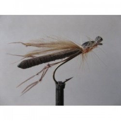 Dries Pure foam orange cut down daddy $2.34