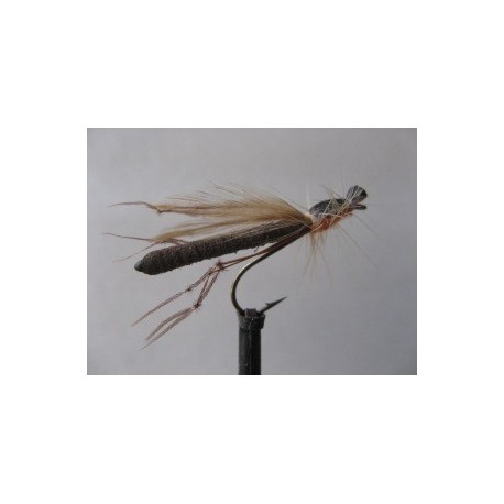 Dries Pure foam orange cut down daddy $2.34