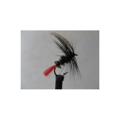 Dries Pure john titmouse dry $2.34