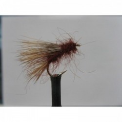 Dries Pure fiery brown sedgehog $2.34