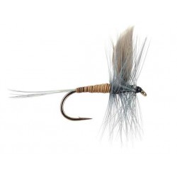 Dries Pure blue quill $2.34