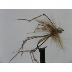 Dries Pure gold head standard daddy $2.34