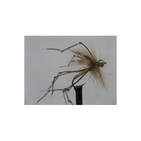 Dries Pure gold head standard daddy $2.34