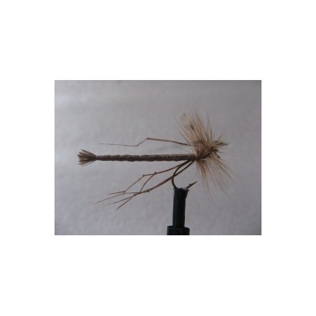 Dries Pure extended body daddy $2.34