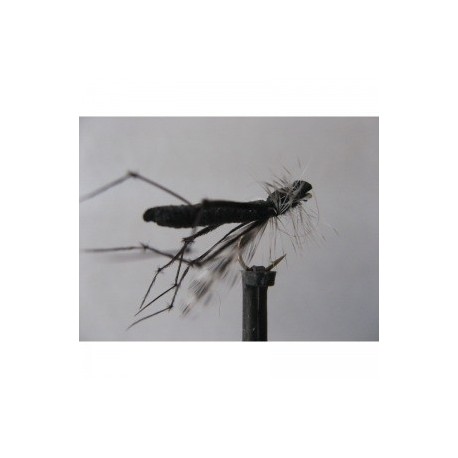 Dries Pure foam mini black daddy $2.34