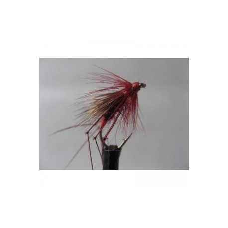 Dries Pure claret harry potter hopper $2.34