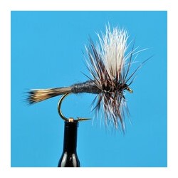 Dries Pure Adams Wulff $2.34