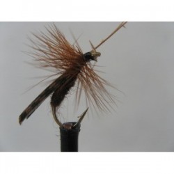 Dries Pure large brown sedge $2.34
