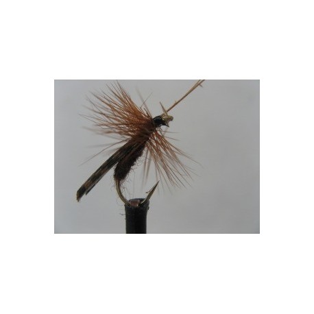 Dries Pure large brown sedge $2.34
